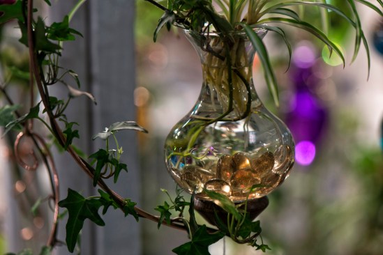 Day 443 'Sunken Treasure