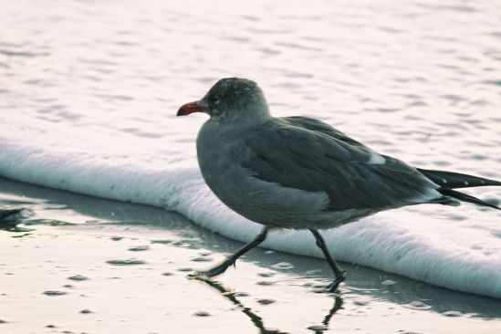 Some Days Are Like This