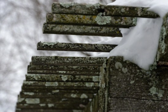 Day 774 'Pickup Sticks